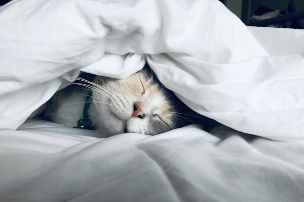 Sleep Medicine Intake Form Sleep Medicine Intake Form